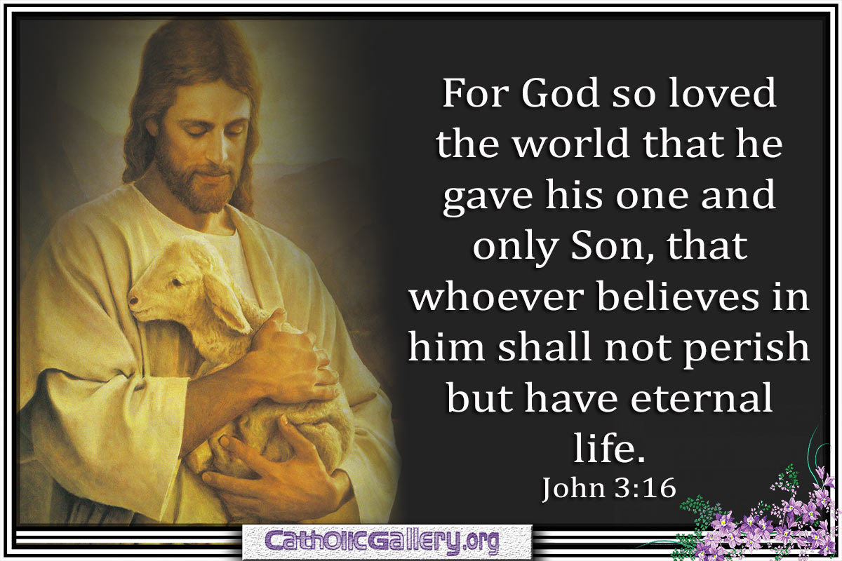 john 3 16 Bible Quotes