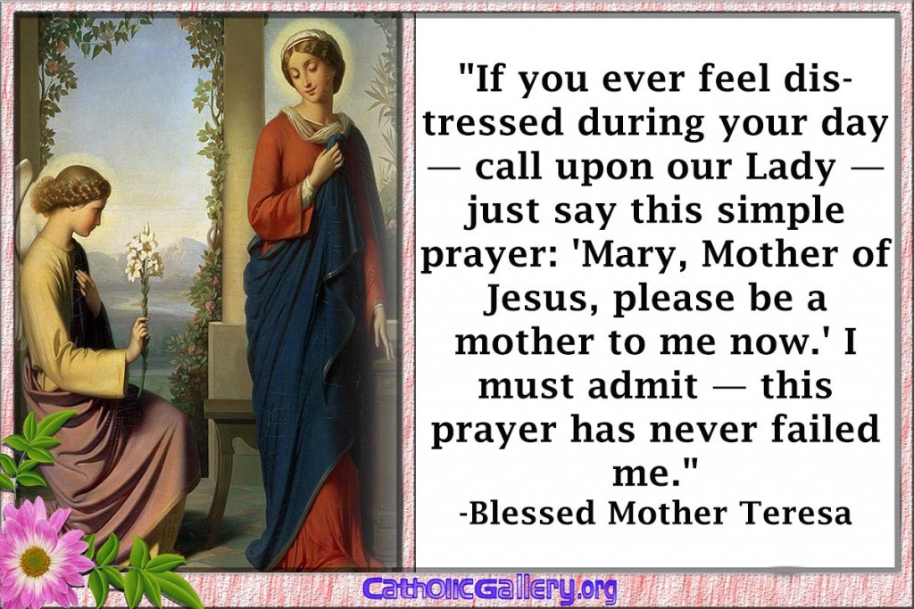 Quotes About Mary (Pictures) - Page 3 - Catholic Gallery