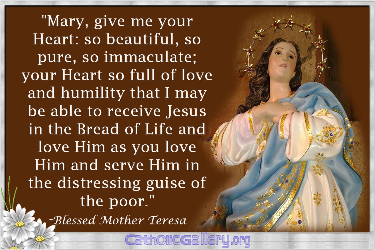 Blessed Mother Teresa mary give me your Mary Quotes